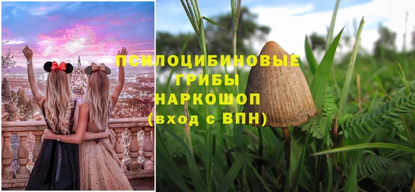 гашик Алексин
