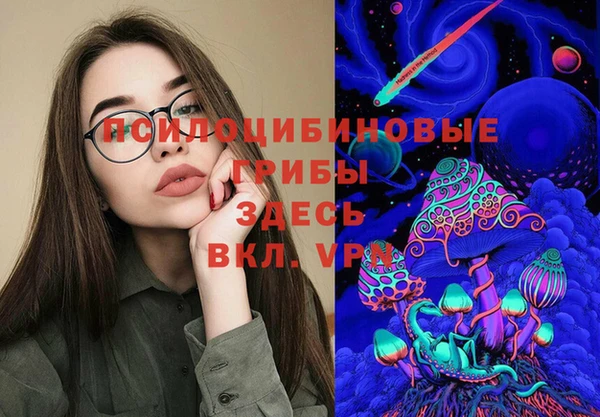 гашик Алексин