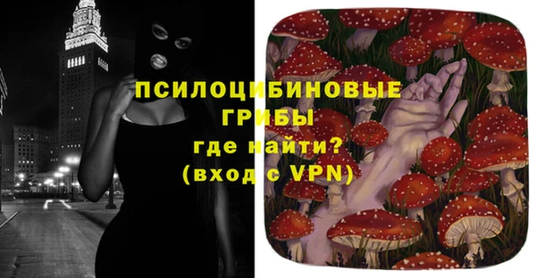 МДПВ Карталы