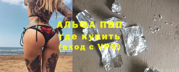гашик Алексин