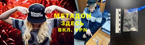 гашик Алексин